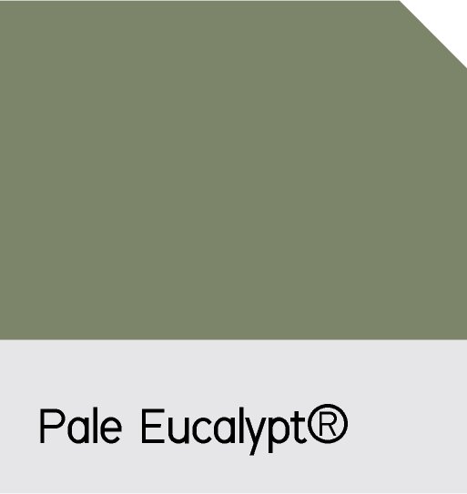 Pale-EucalyptR